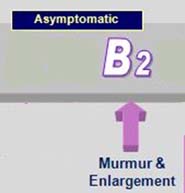 ACVIM B2