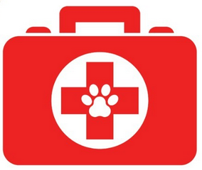 Dog First Aid Kit