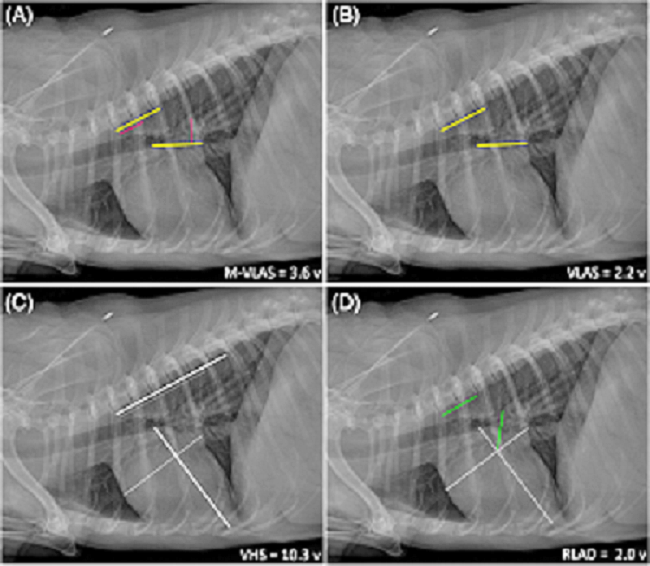 M-VLAS Figure 1