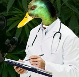 Quack Veterinarian