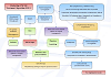 Dr. Rusbridge's 2020 CM/SM Treatment Algorithm