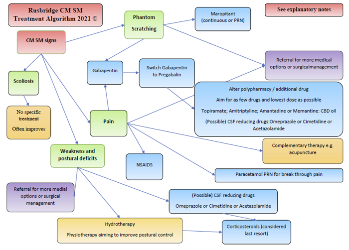 Rusbridge CM/SM Treatment Algorithm 2021