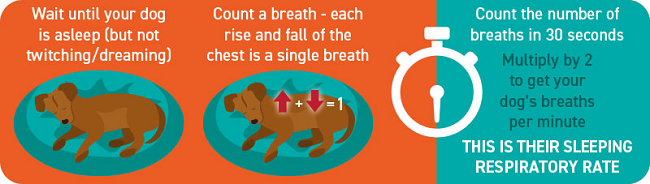 Sleeping Respiratory Rate