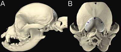 3-D reconstruction