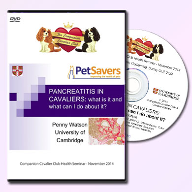 Pancreatitis in Cavaliers